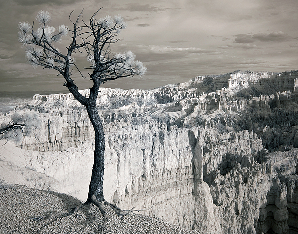 Remain by Mike Irwin Remain by Mike Irwin